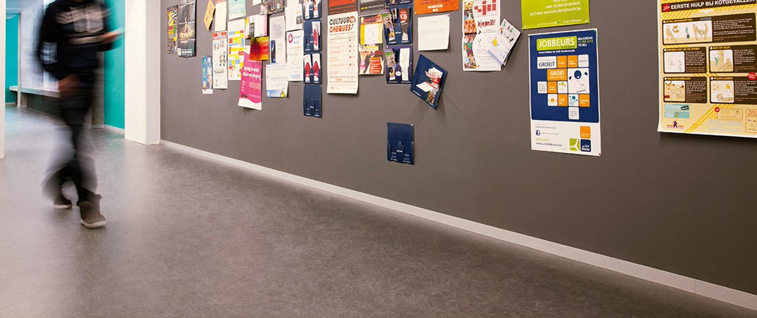 education-picture